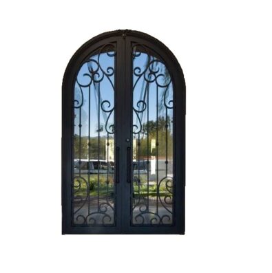 Wrought Iron and Glass Door